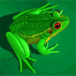 http://ex-con.narod.ru/avatars/frog.jpg
