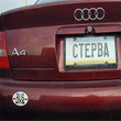 Стерва